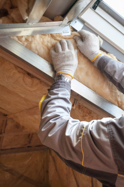 Best Specialized Insulation Services in Tallapoosa, GA