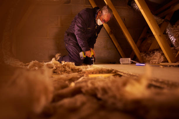 Best Geographic-Specific Insulation Services in Tallapoosa, GA
