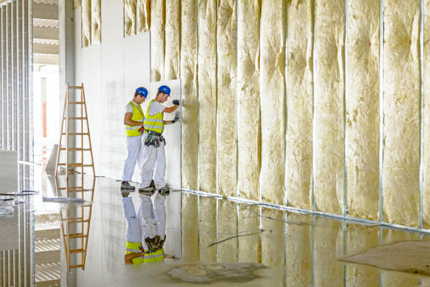 Best Cellulose Insulation in Tallapoosa, GA